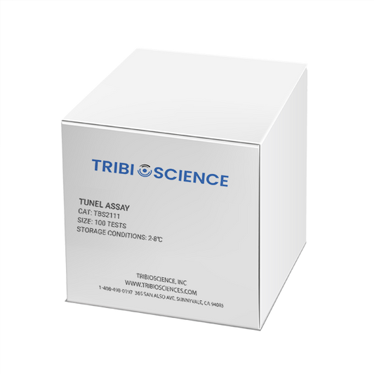 TUNEL Assay Kit