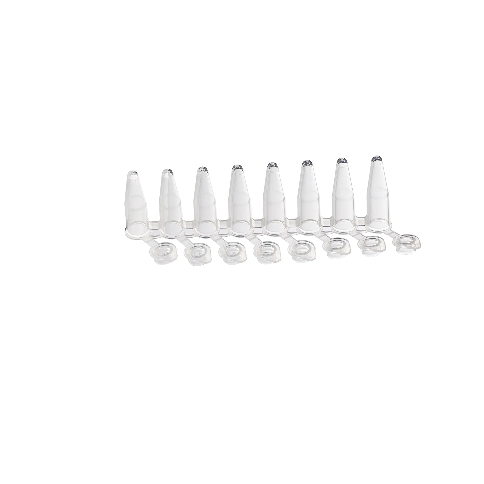 BioLeader BioLeader PCR Tube 201008mL BLD-BS3201008-Case