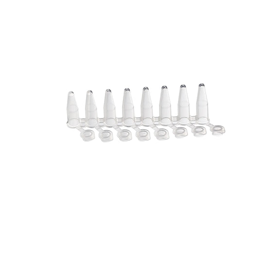 BioLeader BioLeader PCR Tube 201008mL BLD-BS3201008-Case
