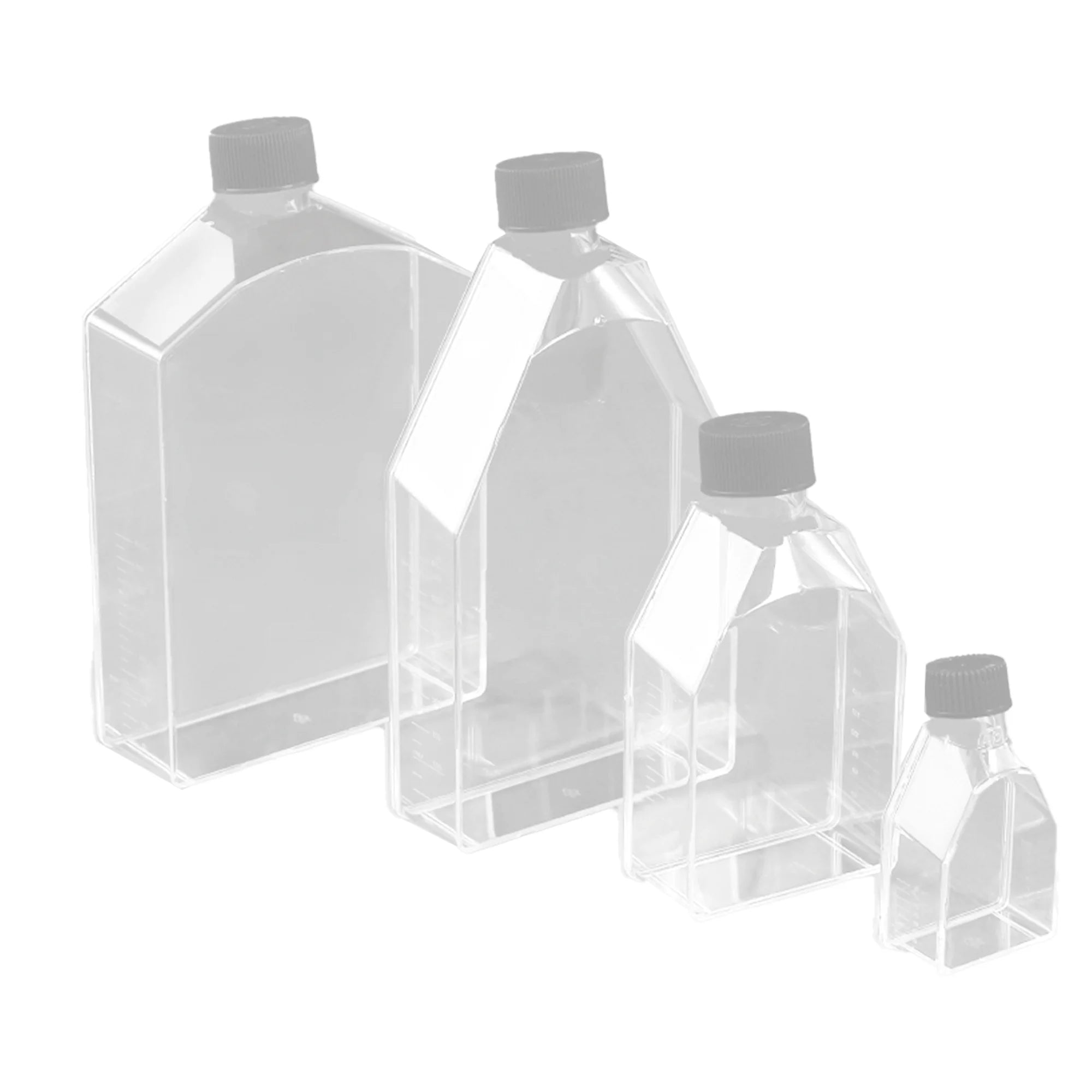 BioLeader BioLeader Tissue Culture Flask 322mL BLD-BS6003225-Case