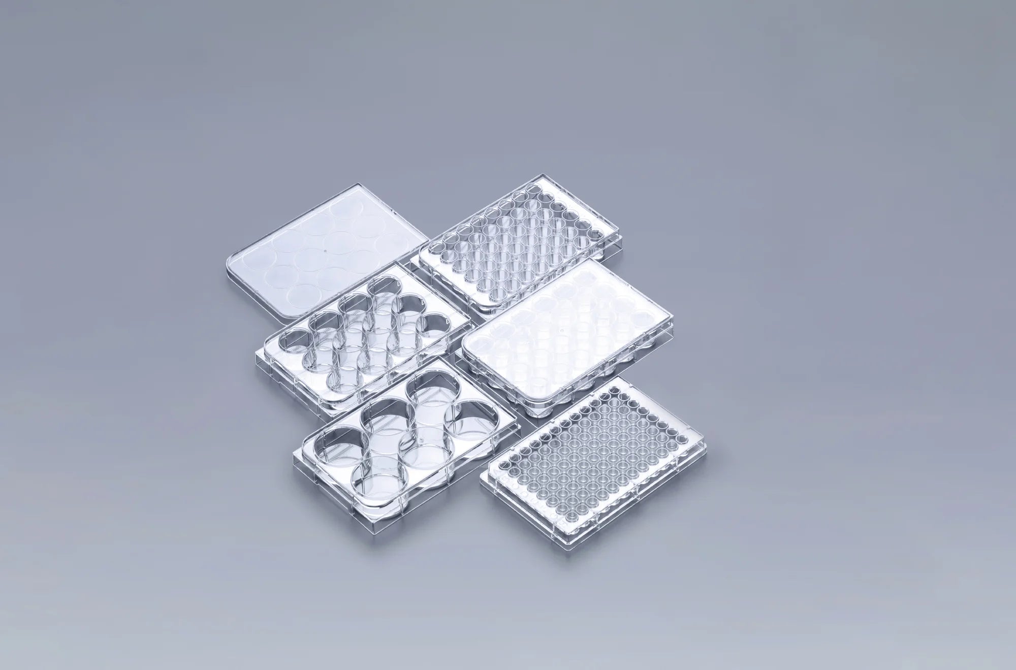 BioLeader BioLeader Cell Culture Plate 6-well REF BS6602006 BLD-BS6602006-Case