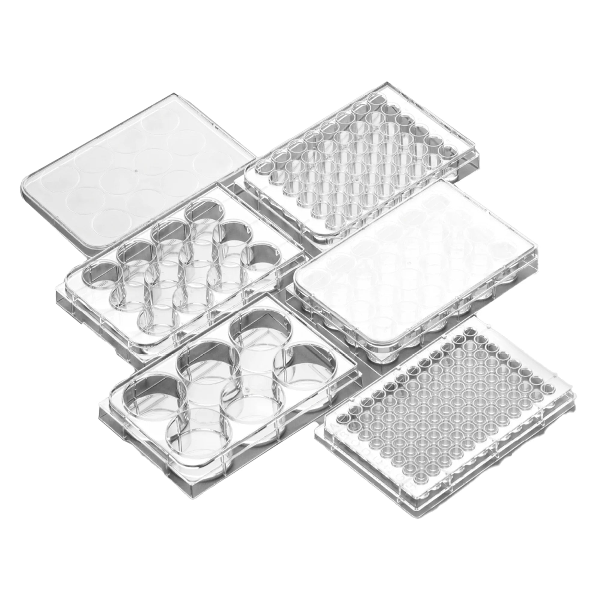 BioLeader BioLeader Cell Culture Plate 96-well REF BS6602196 BLD-BS6602196-Case