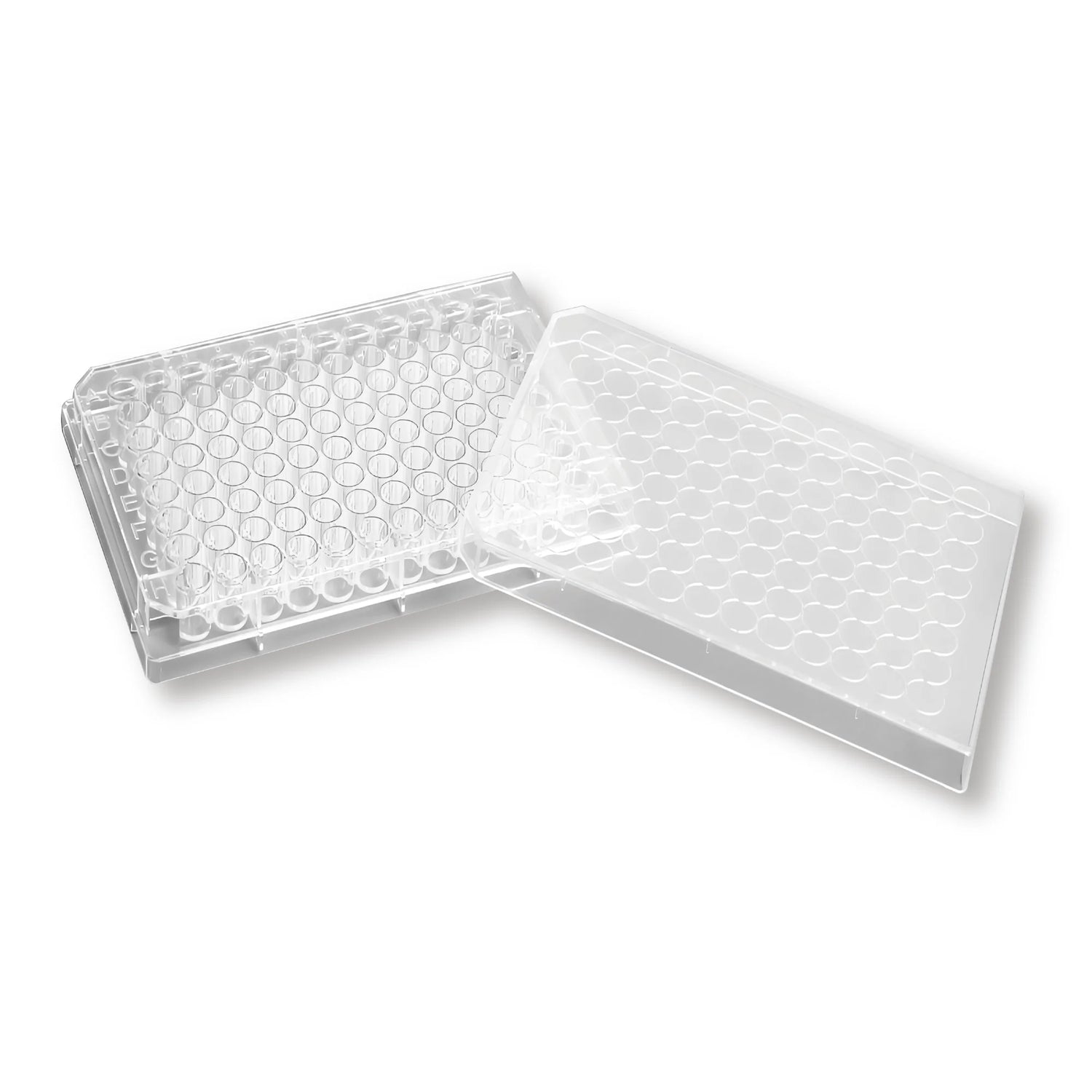 BioLeader Bioleader Plate Clear BLD-BS6700096-Case