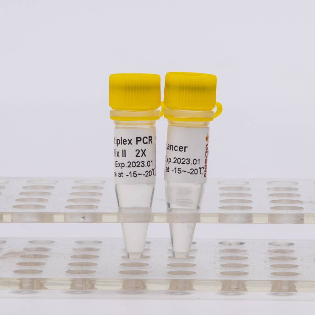 DSPath NGS Multiplex PCR Master Mix II