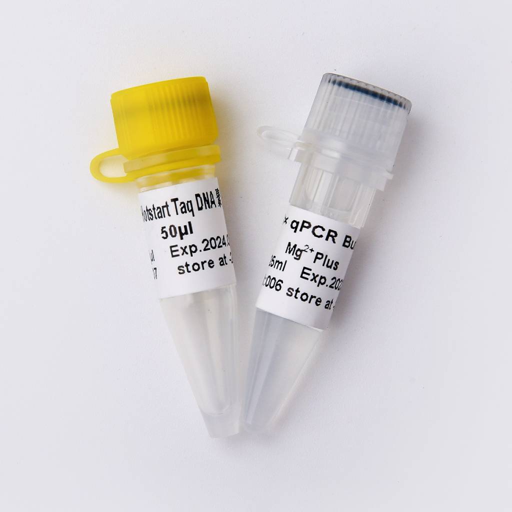 Hotstart KnTaq Polymerase