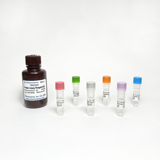 Protein Assay Kit Kit