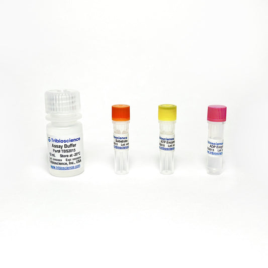 ADP/ATP Ratio Assay Kit (Bioluminescent)