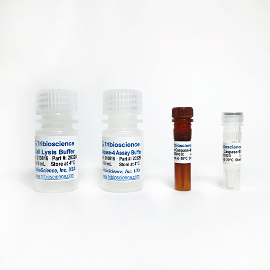 Caspase-4 Fluorometric Assay Kit 