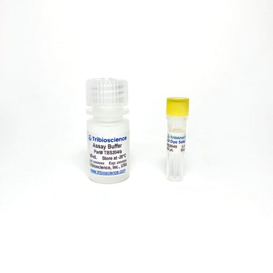 Mitochondrial Membrane Potential Assay
