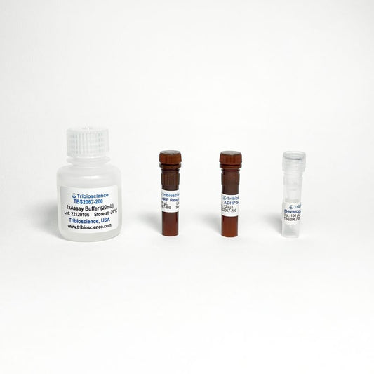 Horseradish Peroxidase Activity