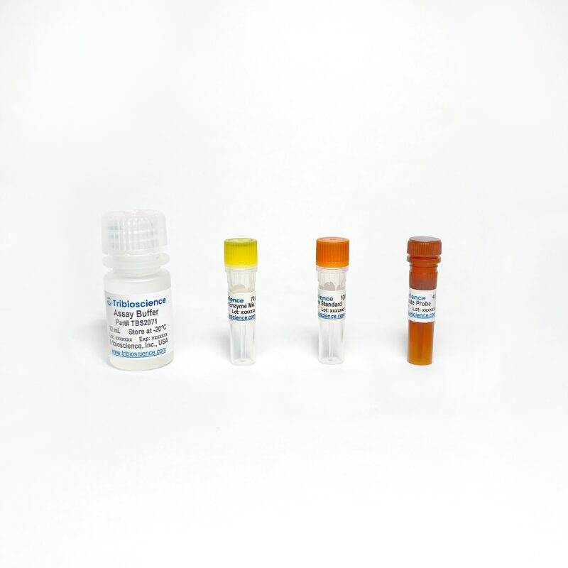 Lactate Colorimetric Assay Kit