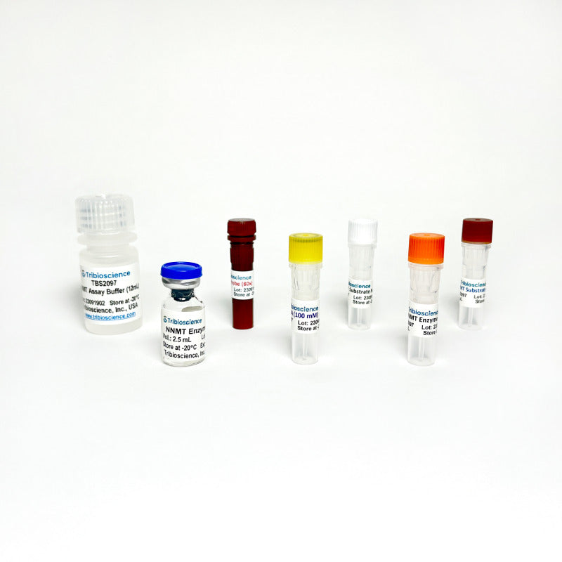 NNMT Inhibitor Screening Assay Kit (Colorimetric / Fluorometric)