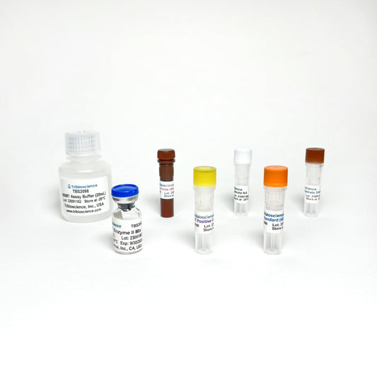 NNMT Activity Assay Kit (Colorimetric / Fluorometric)