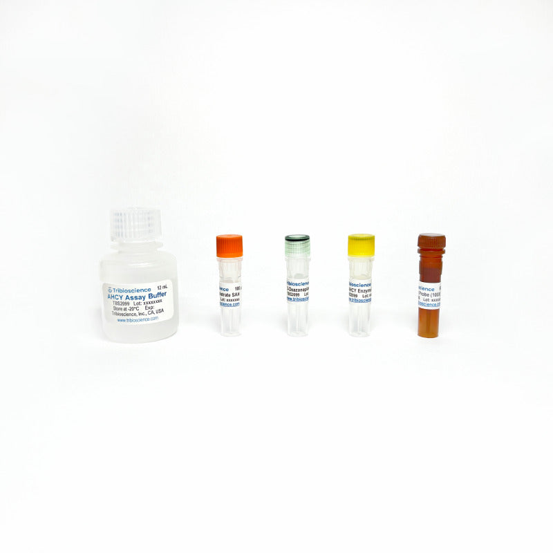 Adenosylhomocysteine (AHCY) Inhibitor Screening Assay Kit (Fluorometric)