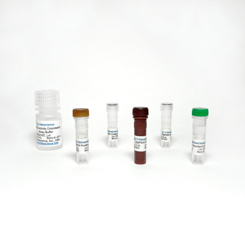Glucose-6-Phosphate Dehydrogenase Activity Colorimetric Assay Kit
