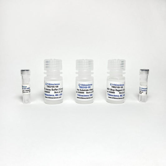 Beta-N-Acetylglucosaminidase (Beta – NAG) Activity Fluorometric Assay Kit