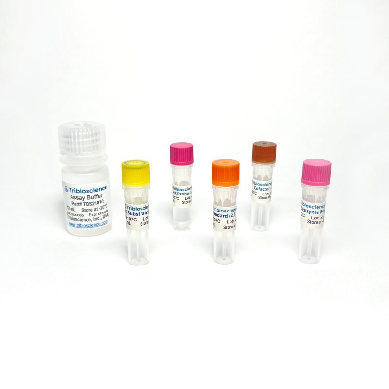 Hexokinase Activity Colorimetric Assay Kit