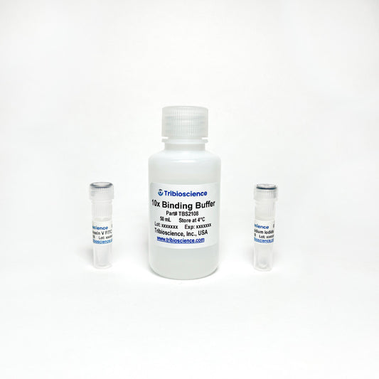 Annexin V Binding Assay Kit