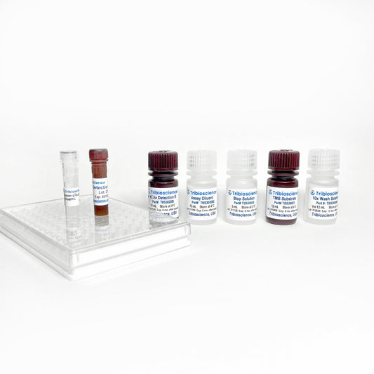 Mouse C3a ELISA Kit