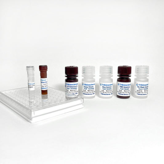 Tribo™ Mouse IL-1β ELISA Kit
