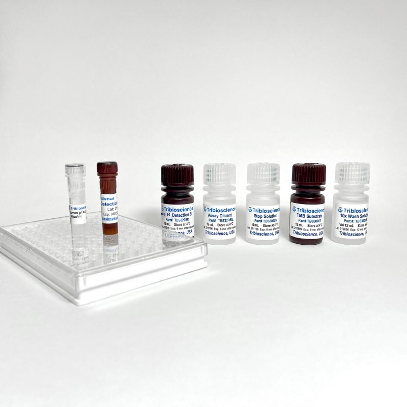 Fast Human Granzyme B ELISA; 1 step and 1hr.