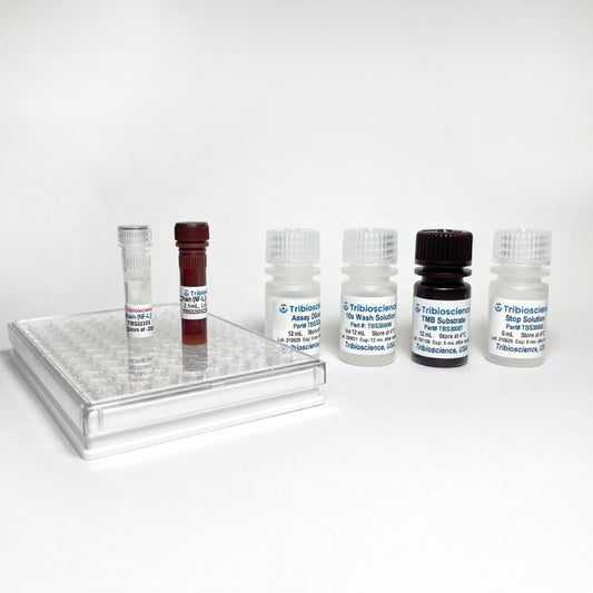 Human Neurofilament-Light Chain (NF-L) ELISA