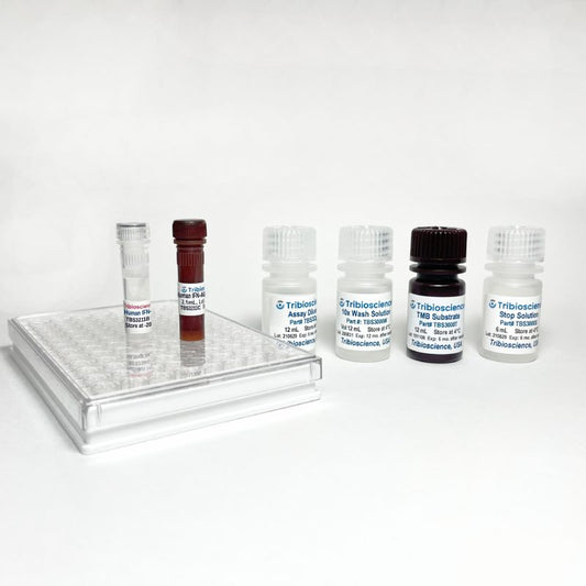 Human IFN-Alpha Fast ELISA