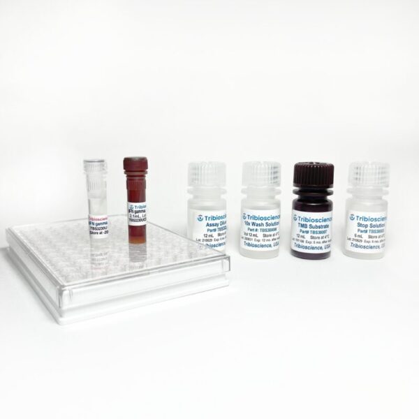 Ultra-Sensitive Human IFN gamma ELISA Kit, 1step and 1hr