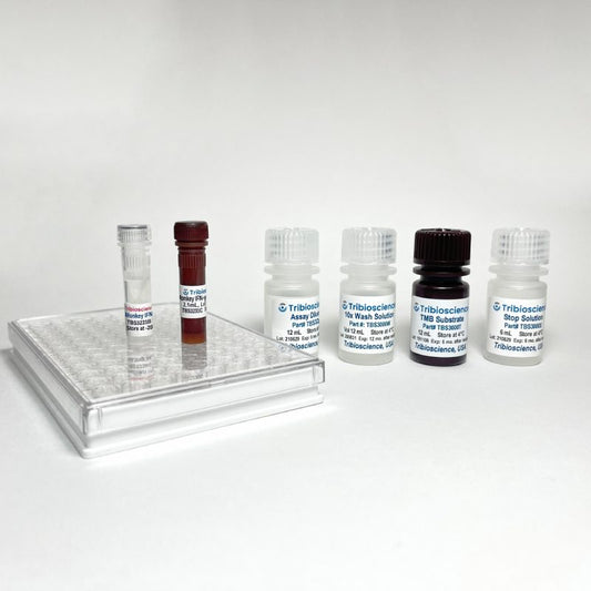 Tribo™ Monkey IFN gamma ELISA Kit, 1 step and 1 hr