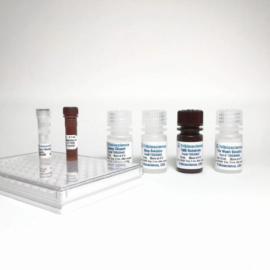Human Glucagon ELISA