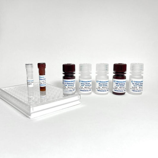 Canine IL-12 p70 ELISA Kit