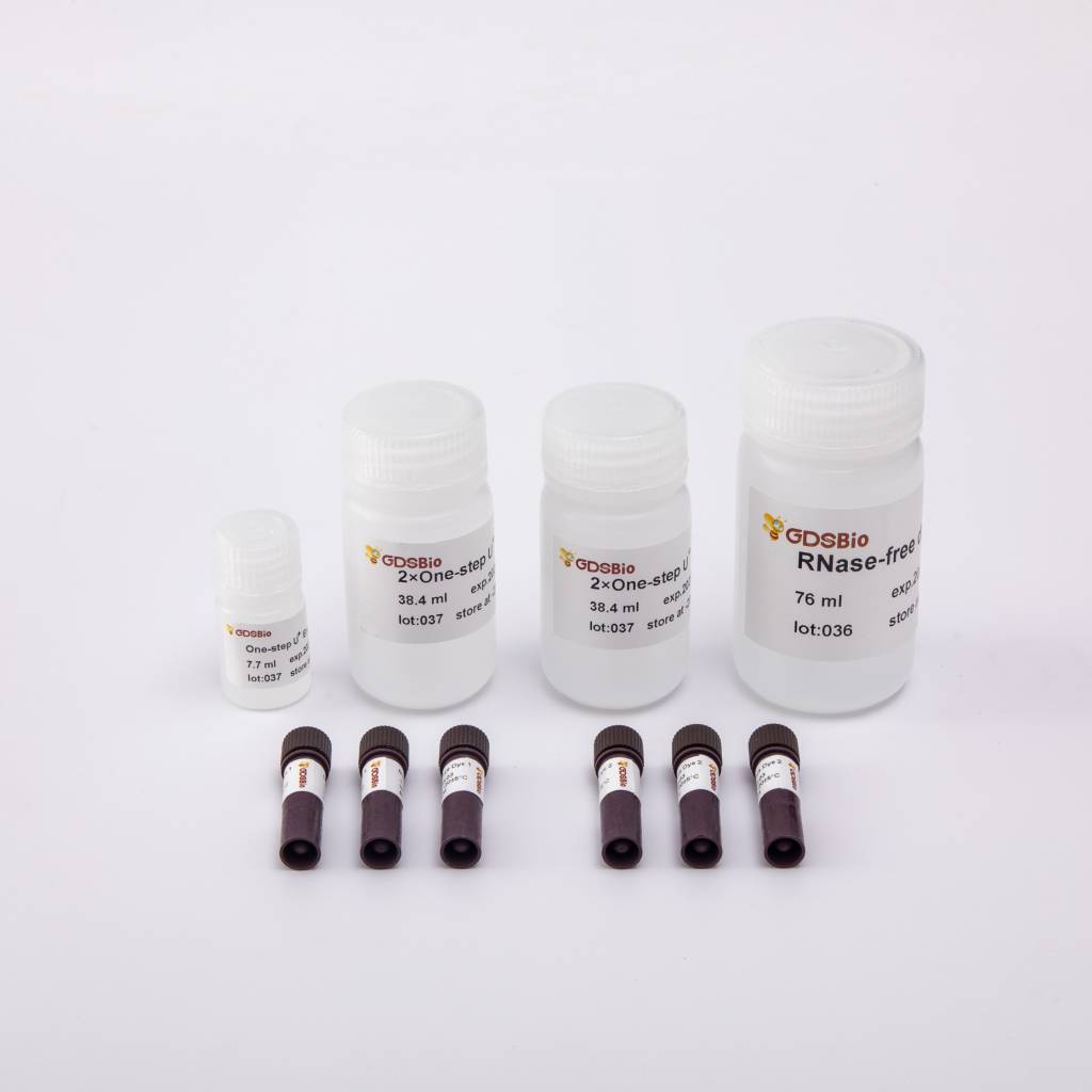 One-step Probe RT-qPCR Kit