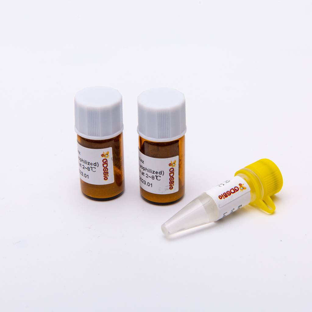 DSPath 4X One-Step Multiplex Master Mix (Lyophilized)