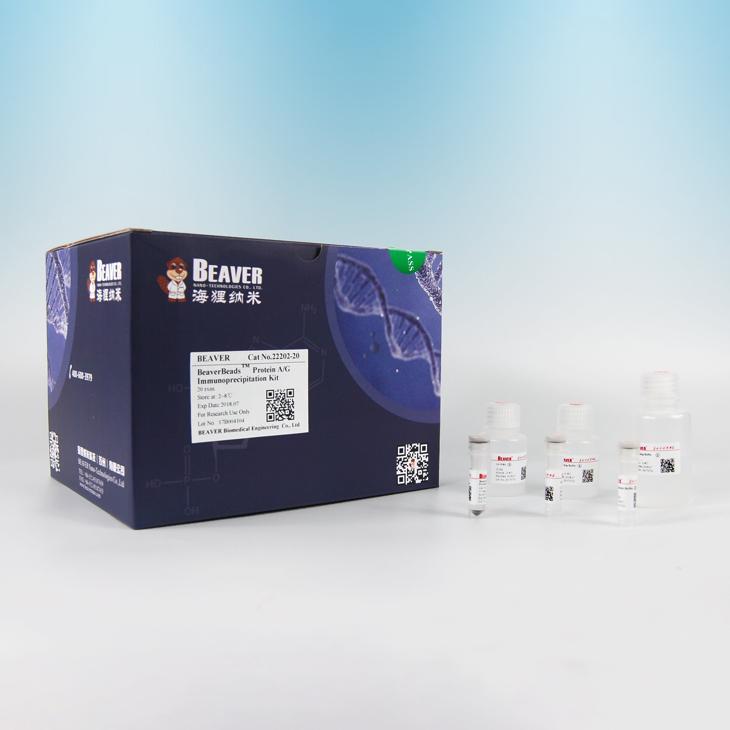 BeaverBeads Protein A/G  Immunoprecipitation Kit