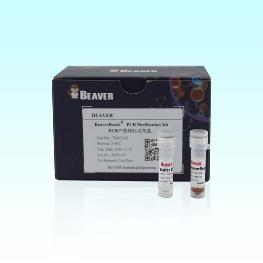 BeaverBeads PCR product purification kit