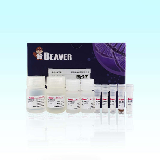 BeaverBeads Plasmid kit