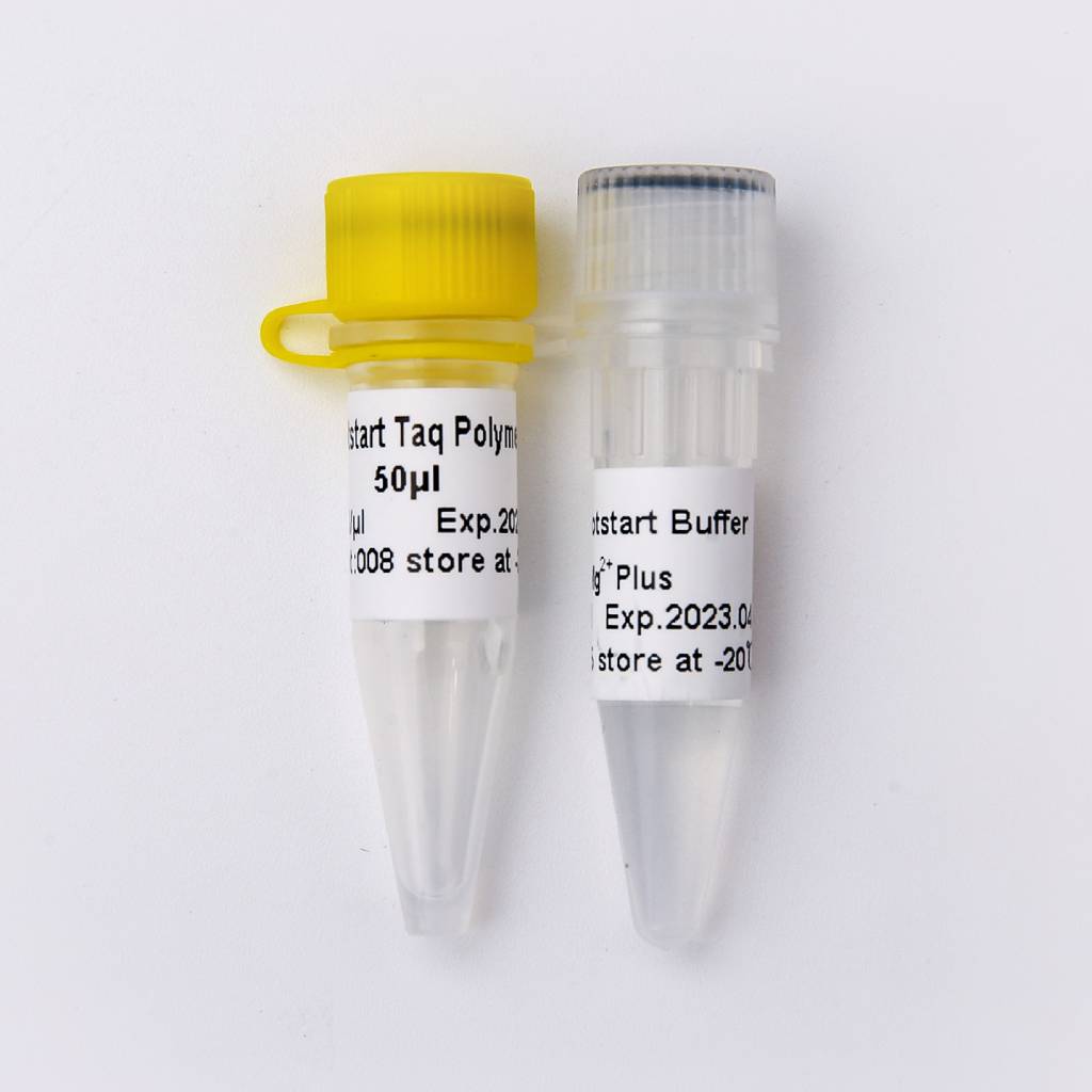Optimus Hotstart Taq DNA Polymerase