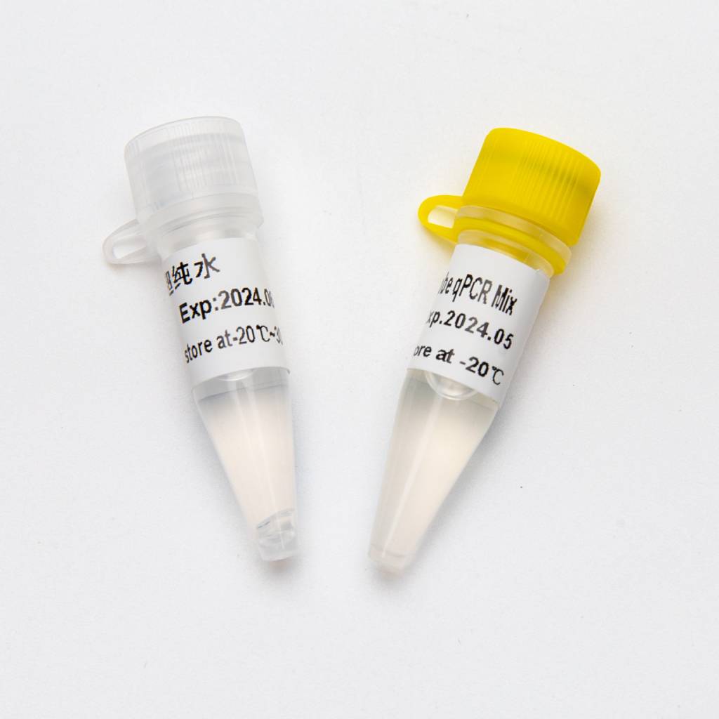 Multiplex Probe qPCR Mix