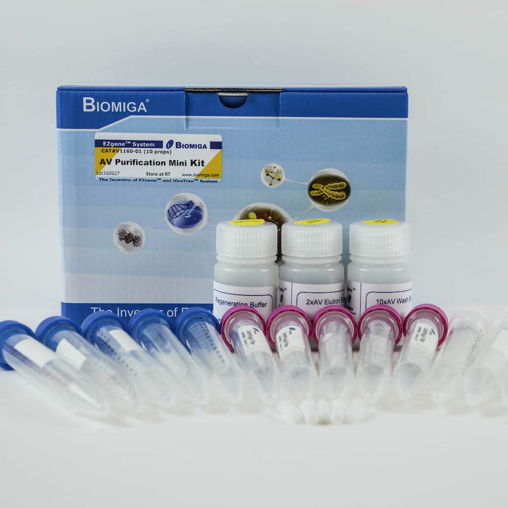 Adenovirus Purification Mini Kit