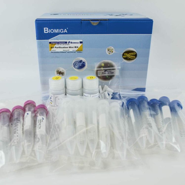 Adenovirus Purification Mini Kit