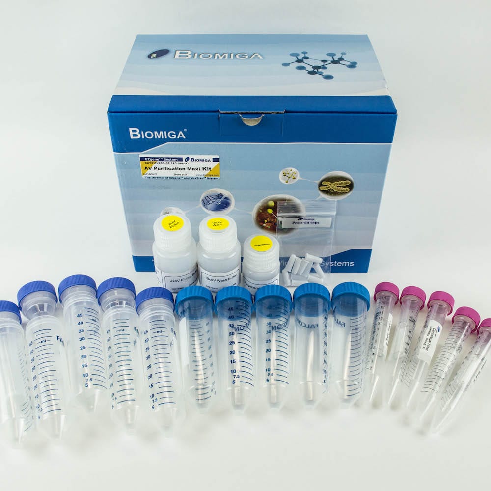 Adenovirus Purification Maxi Kit