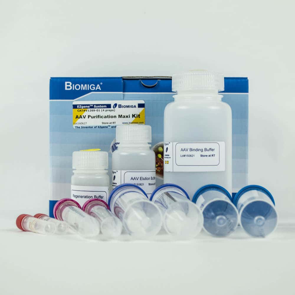 Adeno-Associated Virus Purification Maxi Kit, serotpye 2 and DJ